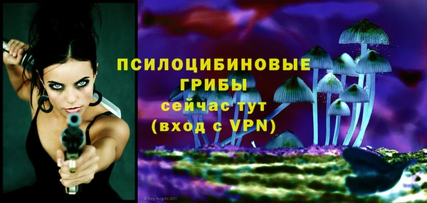 a pvp Абдулино